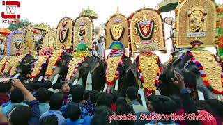 പാർക്കാടി പൂരംവും ആനകളും കൂട്ടിയെഴുന്നള്ളിപ്പും | Parkkadi Pooram | Part-1