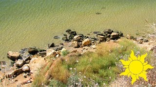 Дикий пляж города Южный на Чёрном море. Нудисты. Ровный загар ☀SunVideo