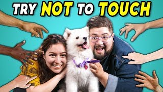 Try Not To Touch Challenge #2 (React)