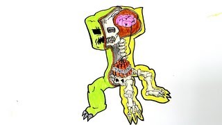 How I Draw Minecraft Creeper Anatomy