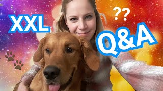 XXL Q&A / Erziehung? Pubertät? Zweithund? Pläne?