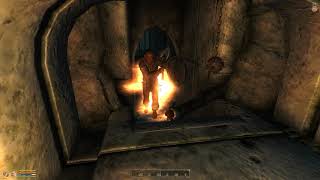 The Elder Scrolls IV Oblivion Atronach Wizard #4