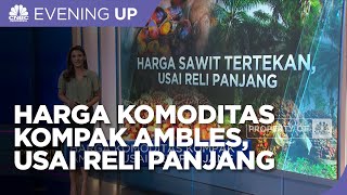 Harga Komoditas Kompak Ambles, Usai Reli Panjang