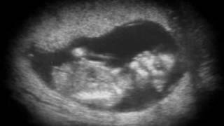 Video to my pregnant wife