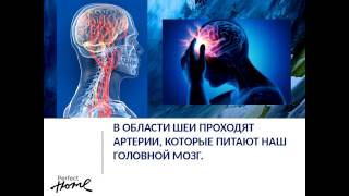 3_Анатомическая продукция с микросферами от 'Perfect Organics'