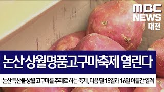 [대전MBC뉴스]논산 상월명품고구마축제 9월 15~16일