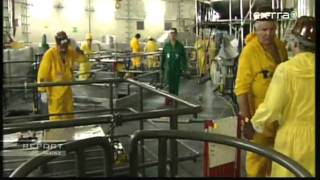 Atomenergie Todesjob Arbeiter im Atomkraftwerk