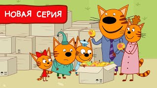 Три Кота | Не просто яблоки Мультфильмы для детей | Премьера новой серии №162