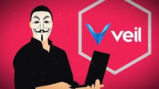 Обзор крипто валюты Veil – часть первая: анонимность и приватность