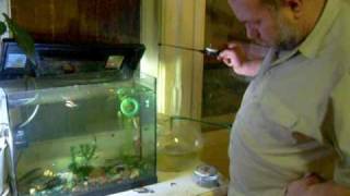Вася ловит в аквариуме(this is a Russian fishing)