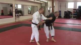 Enter, Intercept, Trap & Impact - DVD Troy J. Price Action Clips Part-1