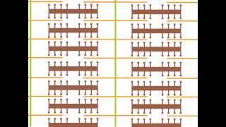 骨格筋の収縮のしくみ（滑り説）と筋収縮のエネルギー供給　ゆうきのバイオロジー