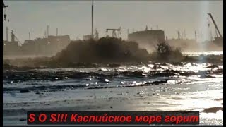 S O S !!! Каспийское море горит  №1209