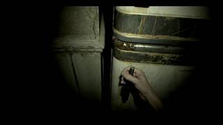 Resident Evil 7 on GT 710 DDR5