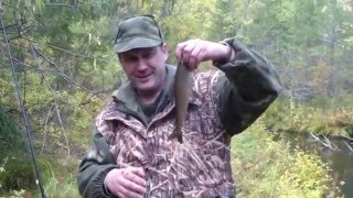 Охота и Рыбалка. Наумовская Верия. Восточная Сибирь. Ирутская обл. 6 7 сентября 2014г