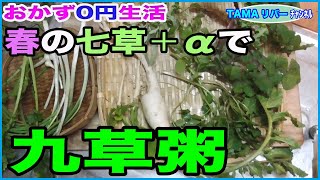【おかず0円生活】春の七草摘みで採取した野草で「九草粥」