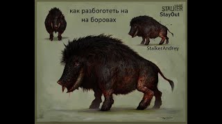 StalkerOnline StayOut как разбогатеть на боровах