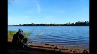 Фидер - судак не случайность (т)