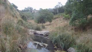 Gopro Small creek Trout on dry fly, 0wt and 3wt rods