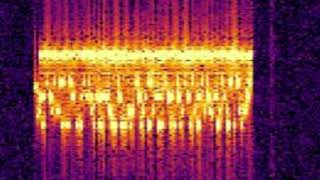 Ultrasound-firewall for mobile phones