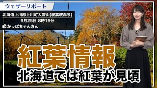 【紅葉情報】北海道では紅葉が見頃