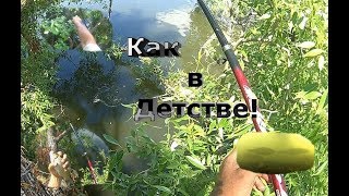Рыбалка с дерева/Ловля на поплавочную/Рыбалка как в детстве//
