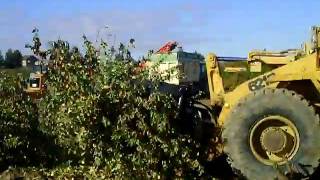 PINZA MULTIGARRA FORESTAL DOFI