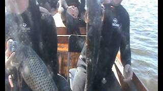 Подводная охота на Каспии / Spearfishing Caspian Sea