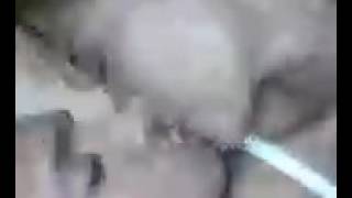 Qehbe roya
