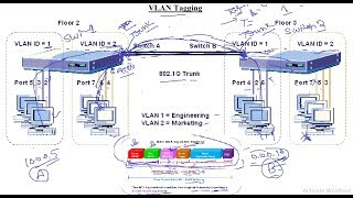How Trunks work — VLAN Tagging | in  Hindi