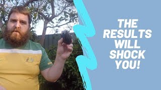 A Close Shave - Movember's epic beginning