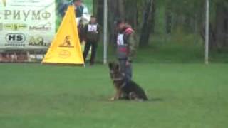 Omar Zoterhund B-92