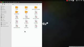 #1010 - Error dropping database (can't rmdir './mydb2', errno: 39 "Directory not empty")