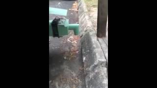 A look at the Eco Waste Composter