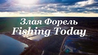 Злая Форель - Fishing Today