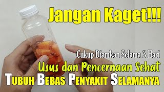 TAK PERLU MINUM INI ITU, SEHATKAN USUS DAN PENCERNAANMU DENGAN MEMBUAT MINUMAN INI