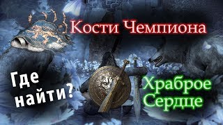 Где найти ХРАБРОЕ СЕРДЦЕ / КОСТИ ЧЕМПИОНА ► [Dark Souls 3]