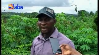 Anambra Vegetable Farmers Plead Sustainance Of The Export Programme
