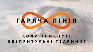 Коли зникнуть безпритульні тварини? – Гаряча лінія // 30.06.2020