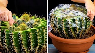 Gardening hacks and easy ways to grow anything!