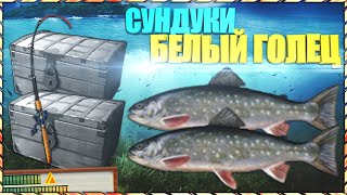 РР3 Норвегия|Голец белый|Редкость+сундуки
