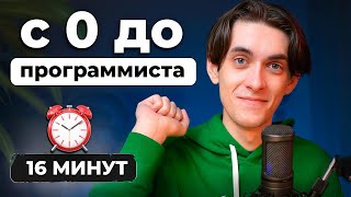 Как стать Программистом в 2024 [ полный гайд для новичков с нуля ]