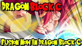 FUSION NOW IN DRAGON BLOCK C! | [1.4.29] Dragon Block C UPDATE