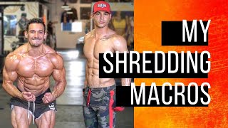 calculate your macros in 18 seconds: Shredded for Life Ep. 4