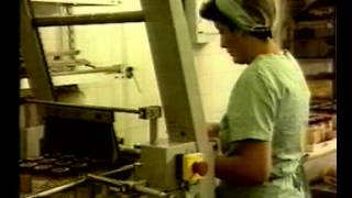 INSHT - LOS FACTORES PSICOSOCIALES EN EL TRABAJO Y SU RELACION CON LA SALUD (13_37)
