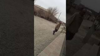 Гачиани прикол