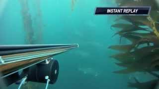 Spearfishing - White Seabass and Yellowtail
