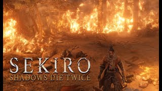 Sekiro Shadows Die Twice русская озвучка на ПК с клаво мышью #6 Бесполезный фарм