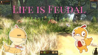 MY LITTLE VILLAGE! - Life is Feudal: Forest Village