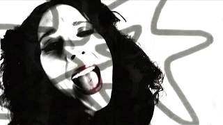 Miss Li - "Stupid Girl" (2009)